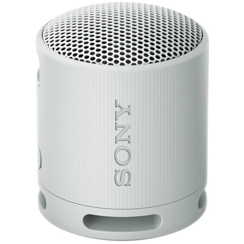 Sony SRS-XB100 Bluetooth Speaker Grey
