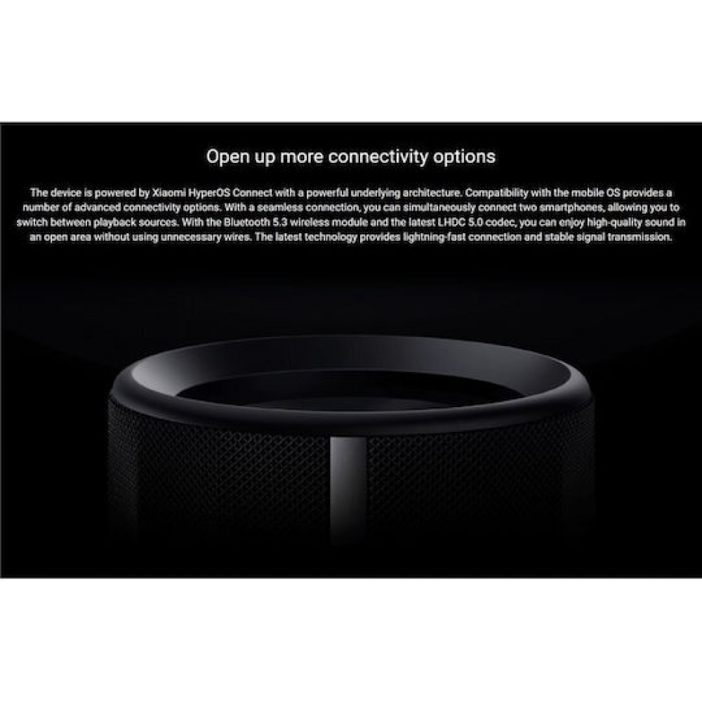 Xiaomi Mi Sound Speaker Black (QBH4275GL)