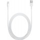 Apple USB to Lightning Cable White 2m Retail (MD819) 