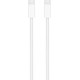 Apple Regular USB 2.0 Cable USB-C male - USB-C male Λευκό 2m (MU2G3ZM/A)