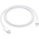 Apple Regular Cable USB-C male - Lightning Λευκό 1m (MUQ93ZM/A) 