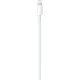 Apple Regular Cable USB-C male - Lightning Λευκό 1m (MUQ93ZM/A) 