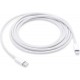 Apple Regular Cable USB-C male - Lightning Λευκό 2m (MW2R3ZM/A)