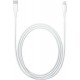 Apple Regular Cable USB-C male - Lightning Λευκό 2m (MW2R3ZM/A)