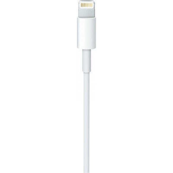 Apple Regular Cable USB-C male - Lightning Λευκό 2m (MW2R3ZM/A)