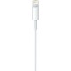 Apple Regular Cable USB-C male - Lightning Λευκό 2m (MW2R3ZM/A)