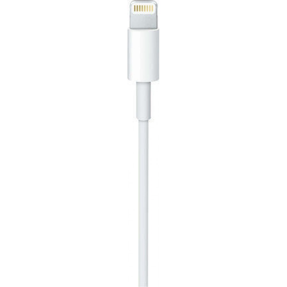 Apple Regular Cable USB-C male - Lightning Λευκό 2m (MW2R3ZM/A)
