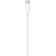 Apple Regular Cable USB-C male - Lightning Λευκό 2m (MW2R3ZM/A)