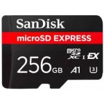 Sandisk Express microSDXC 256GB for Switch 2