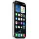 Apple Silicone Case with Magsafe Transparent (iPhone 16 Pro Max)
