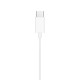 Apple EarPods MTJY3ZM/A Original Retail